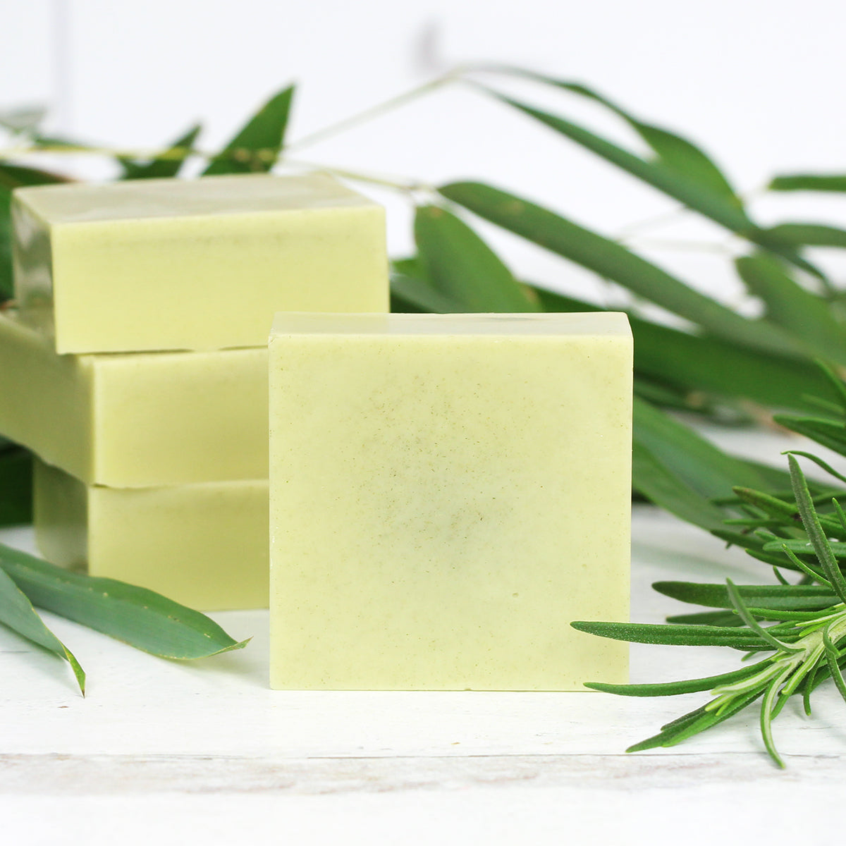 Strengthen & Shine Conditioner Bar