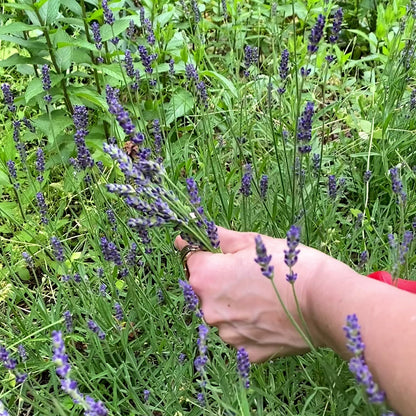 Lavender & Rose Soap