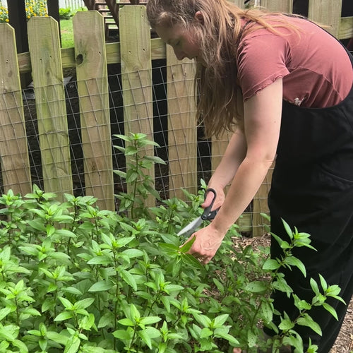 Load image 1 in gallery view. Peppermint Lip Balm